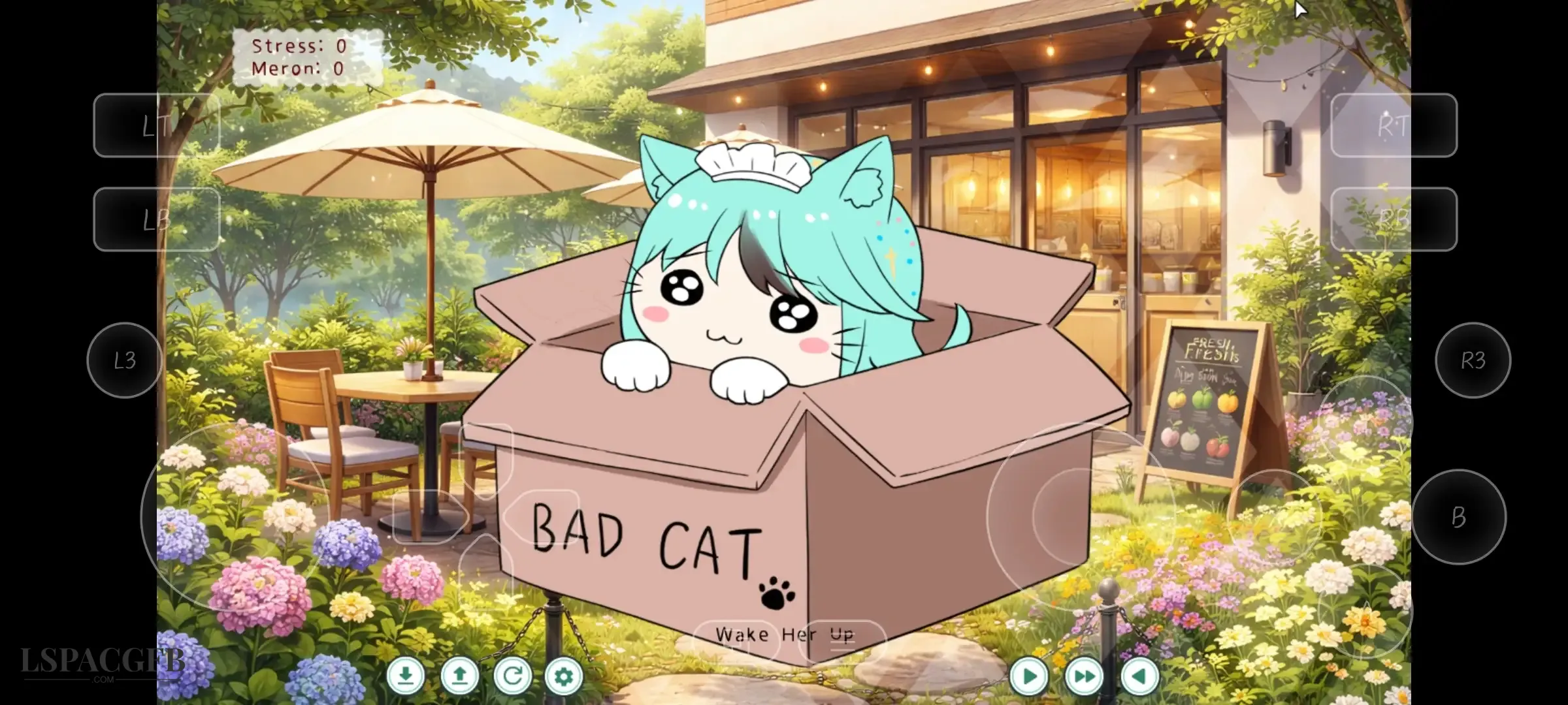 5.webp