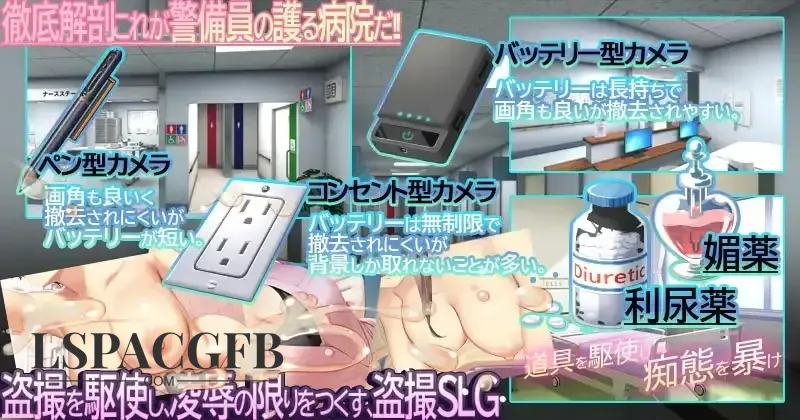 12.webp