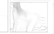 4.webp
