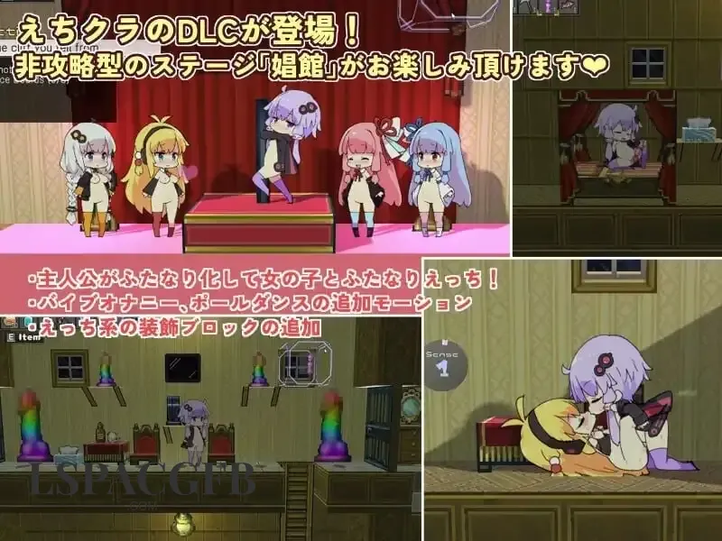 7.webp