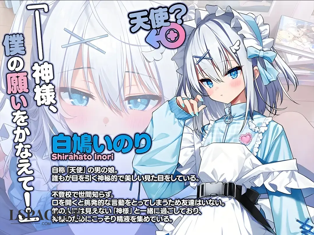 6.webp