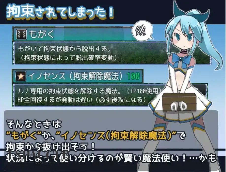 5.webp