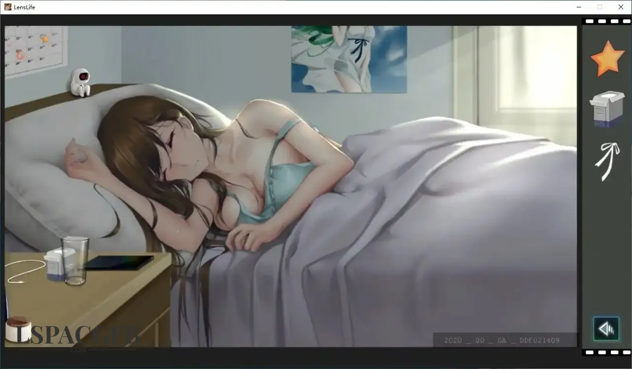 13.webp