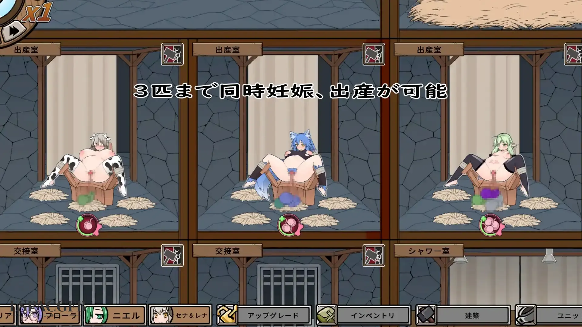10.webp