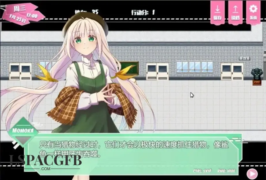 7.webp