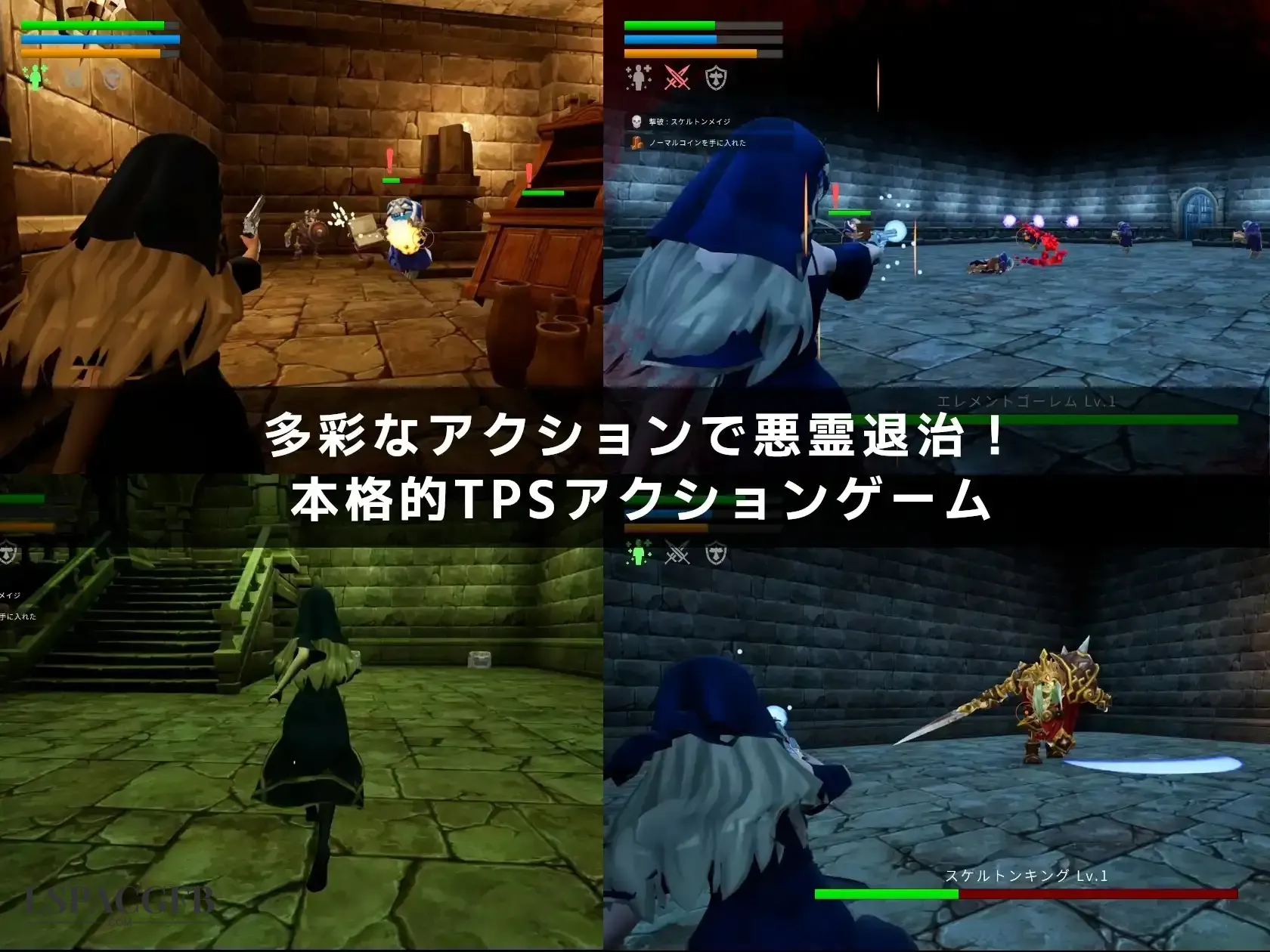 5.webp