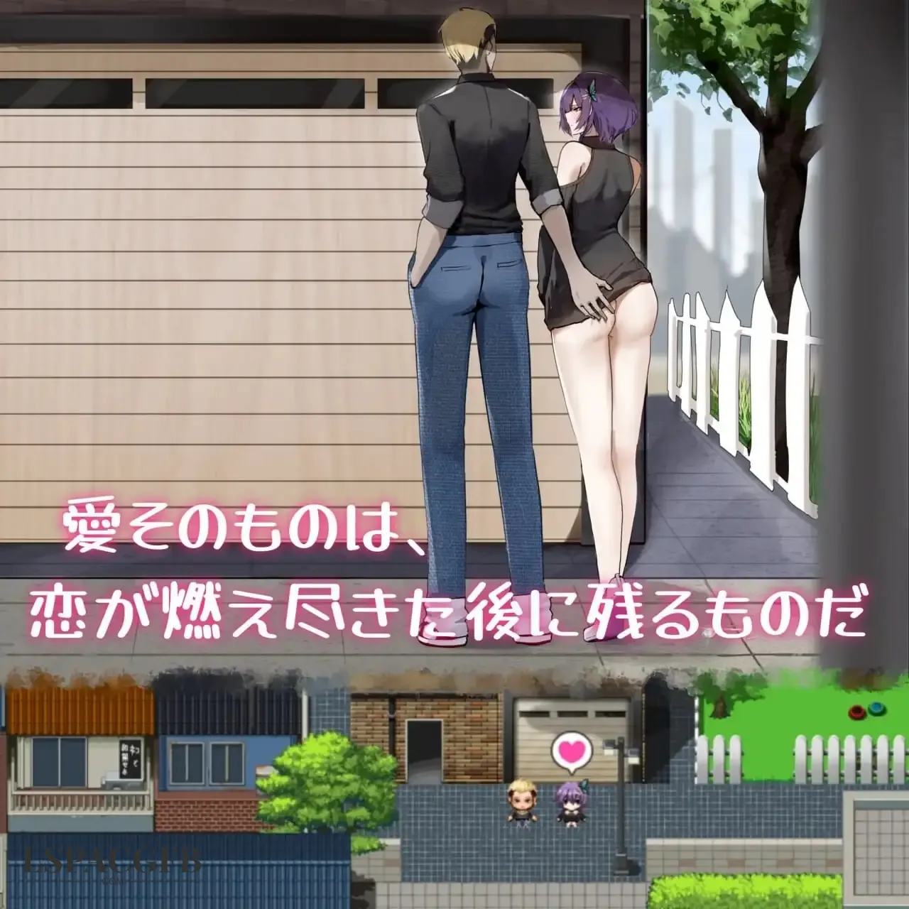 11.webp