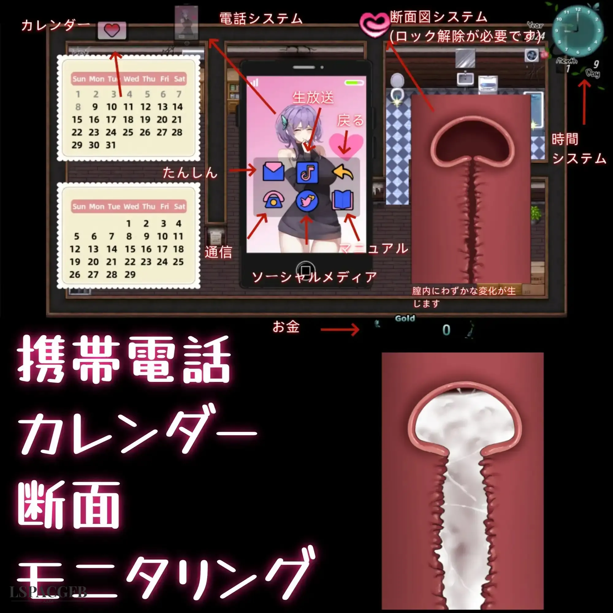 14.webp
