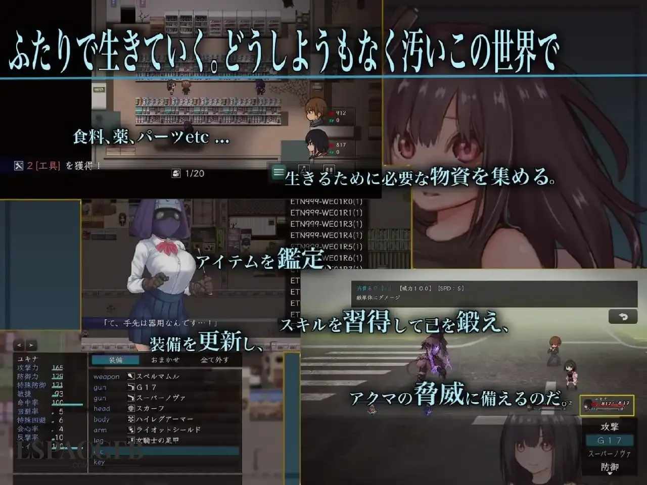 7.webp