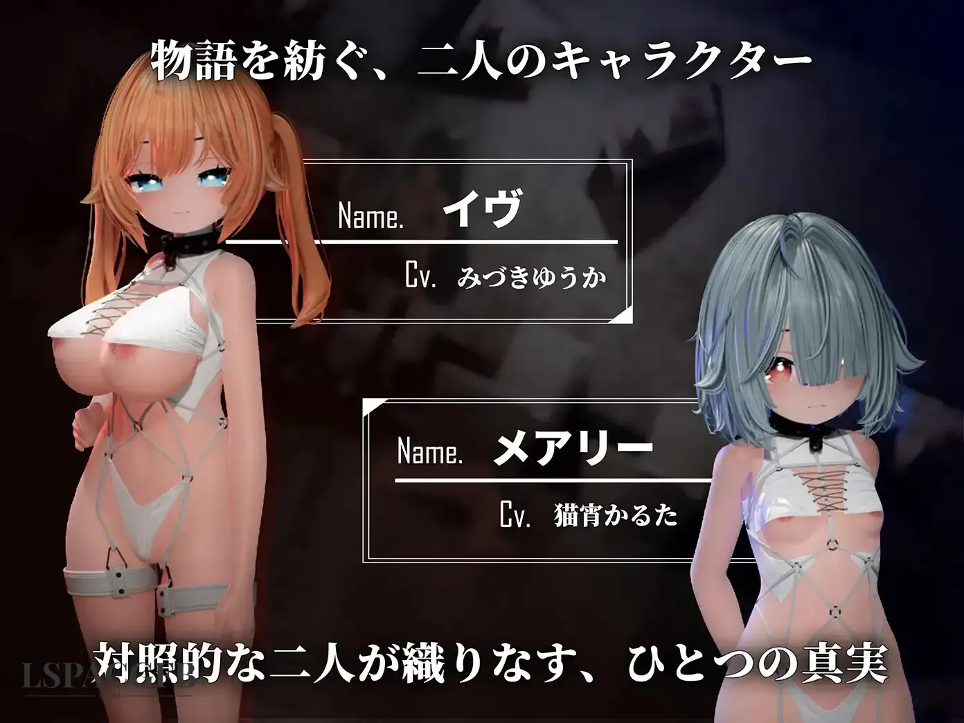 6.webp