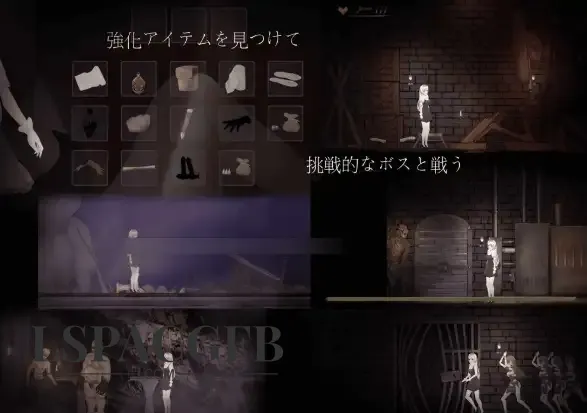 5.webp