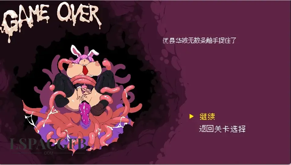 11.webp