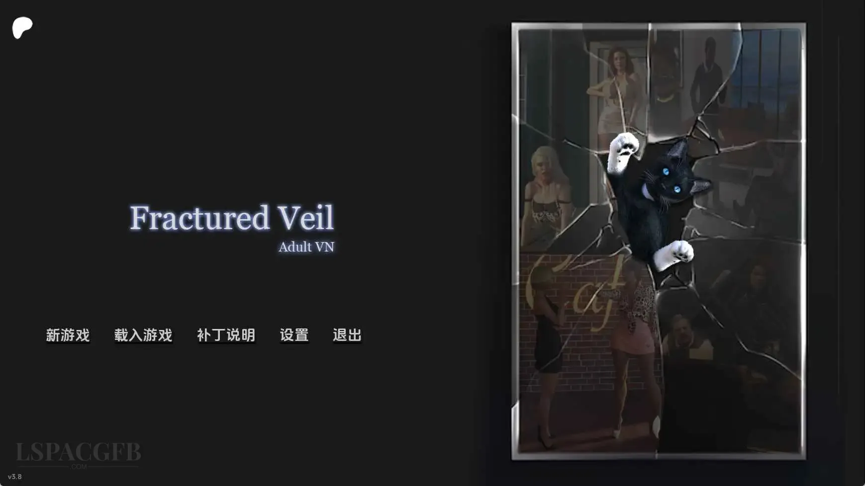 14.webp