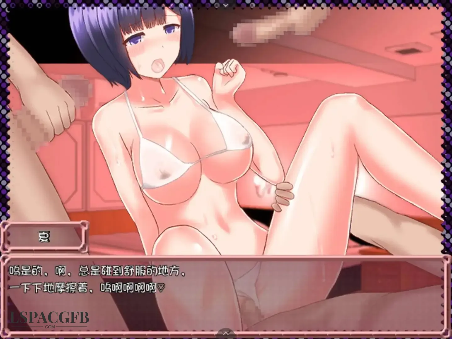 2.webp