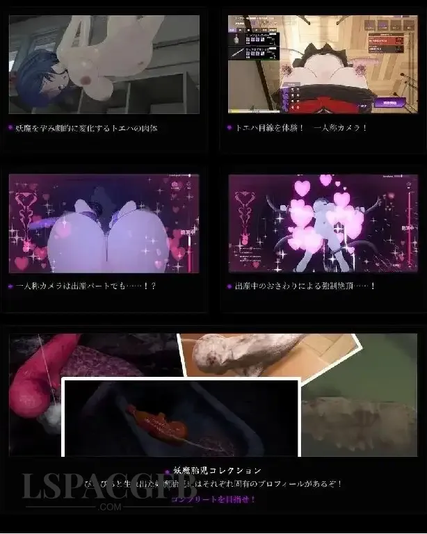 5.webp