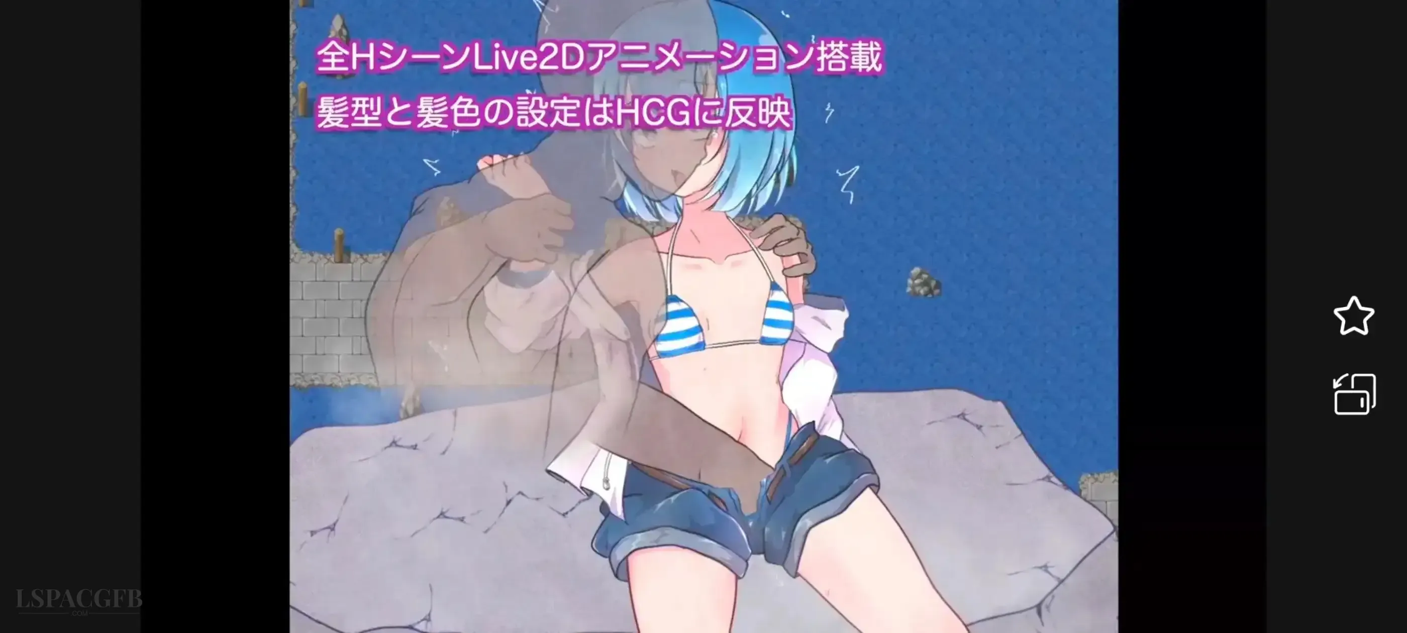 12.webp