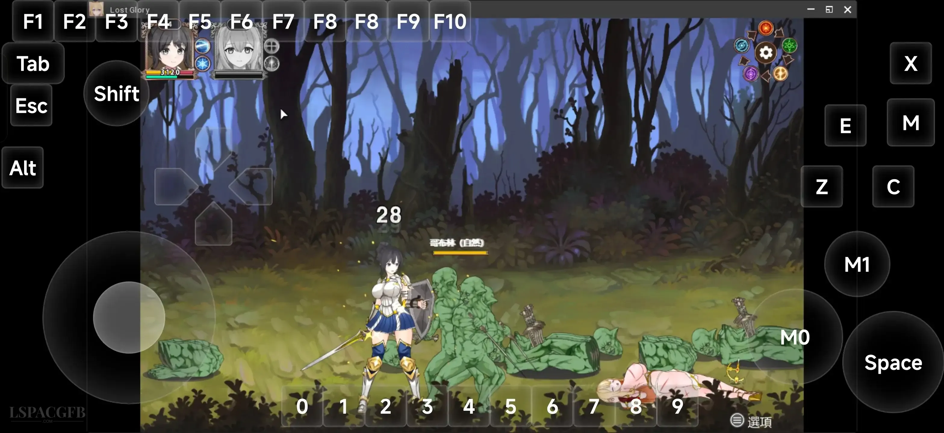 8.webp