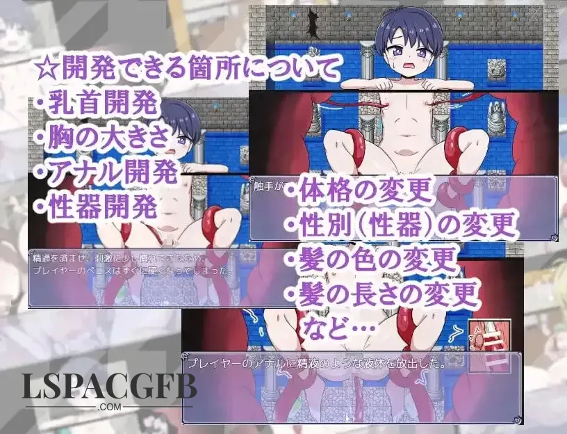 8.webp