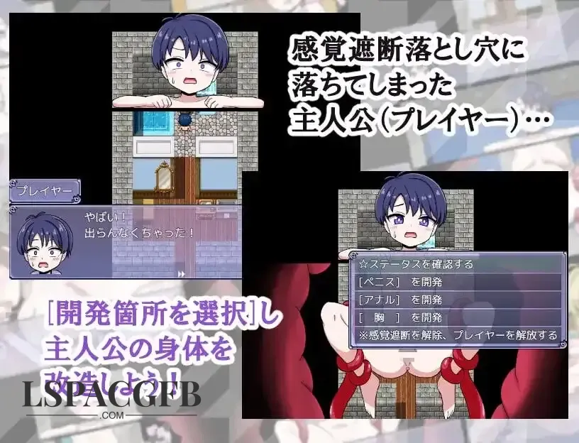 9.webp
