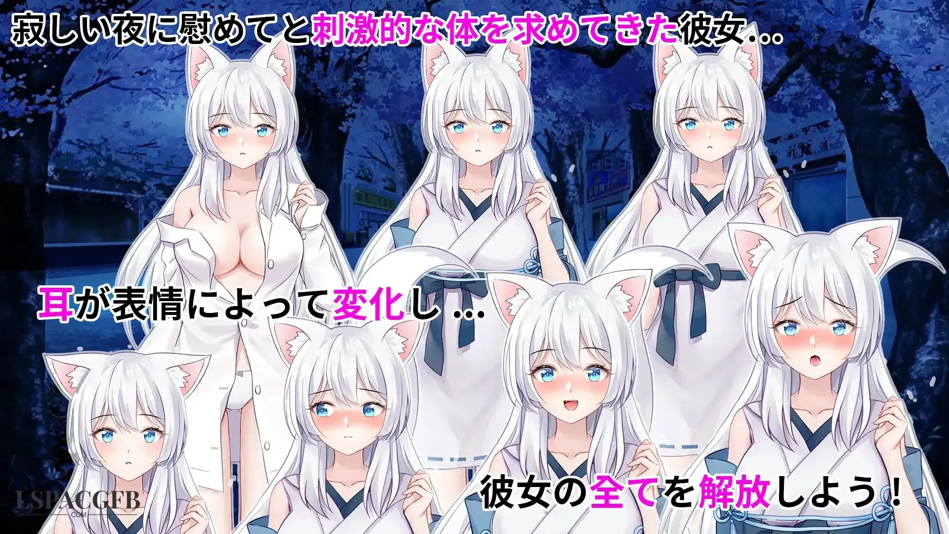 11.webp