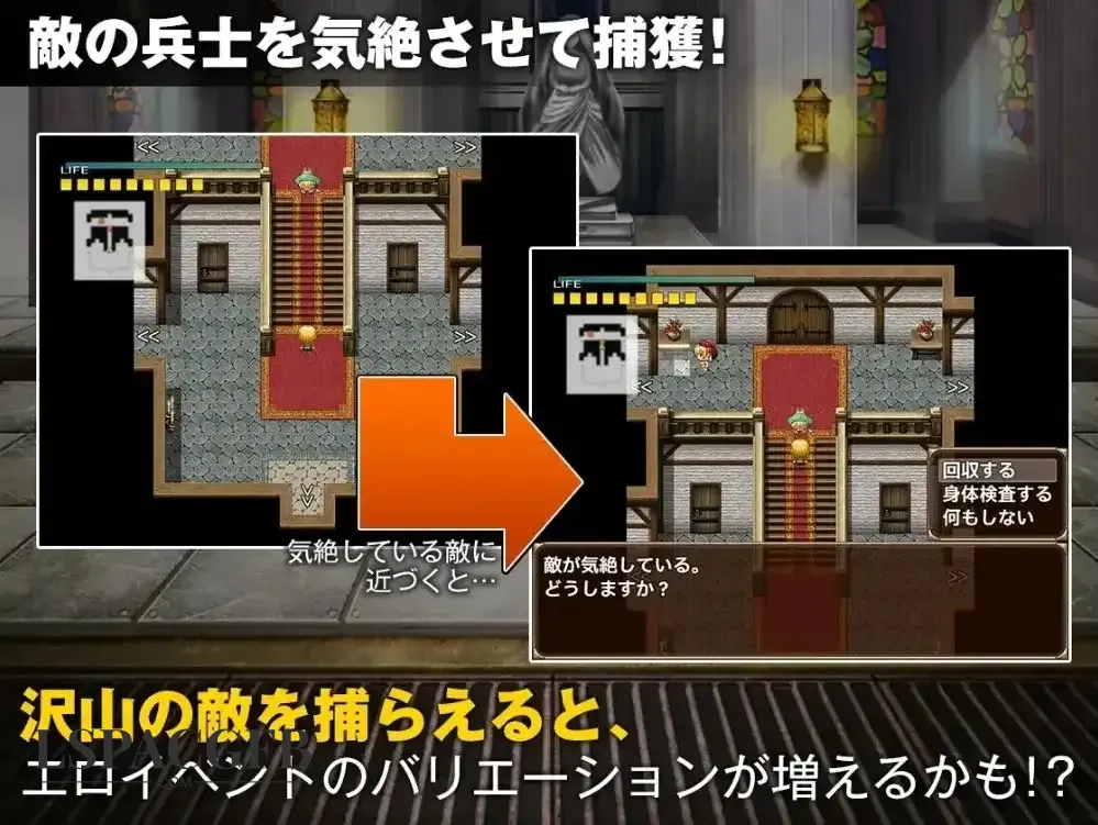 9.webp
