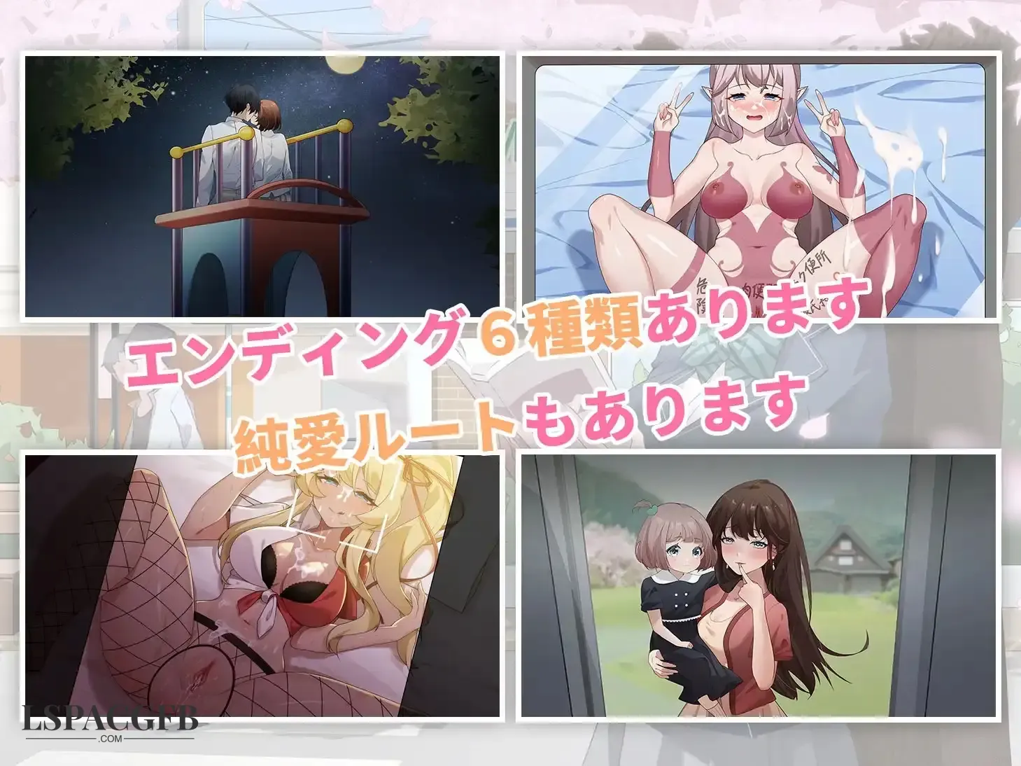 7.webp