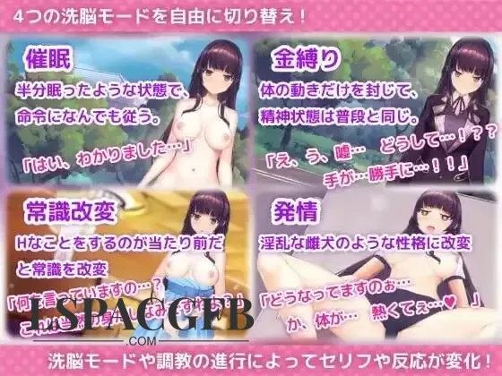2.webp