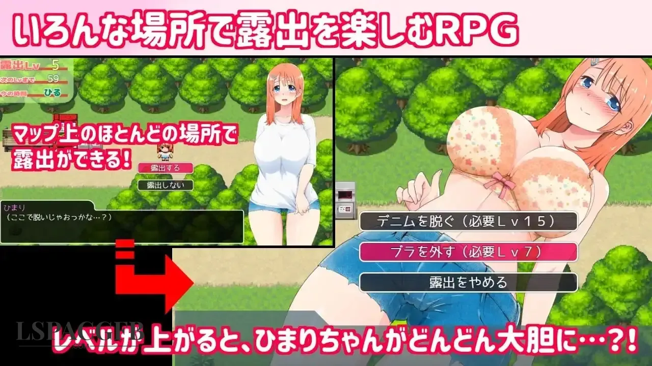 11.webp
