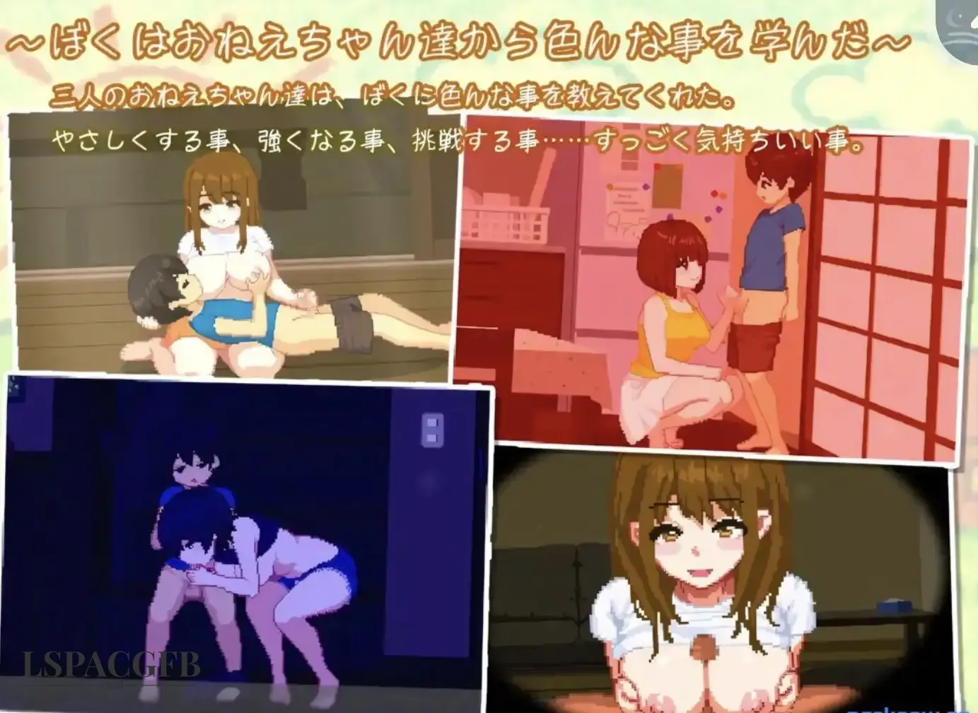 3.webp