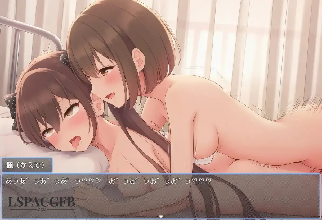 5.webp