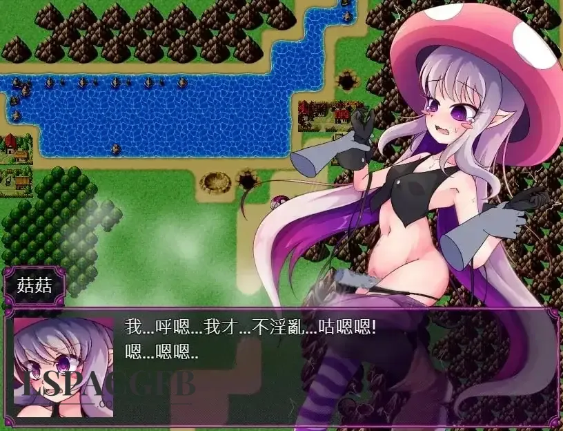 7.webp