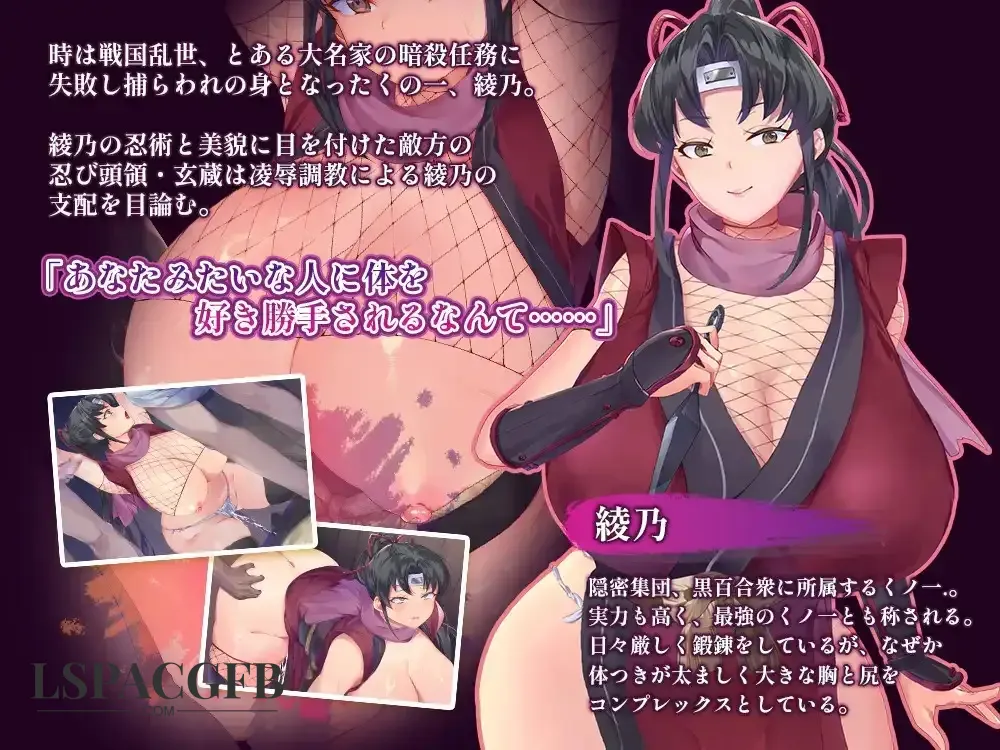 5.webp