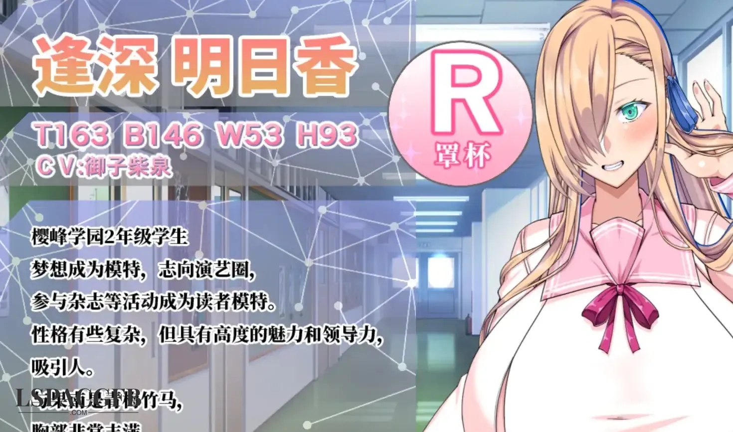 5.webp