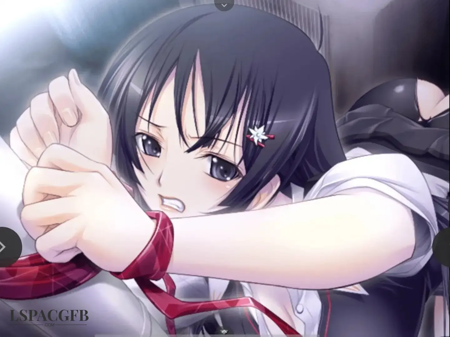 7.webp