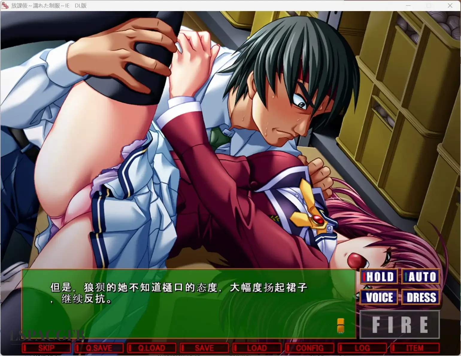 5.webp