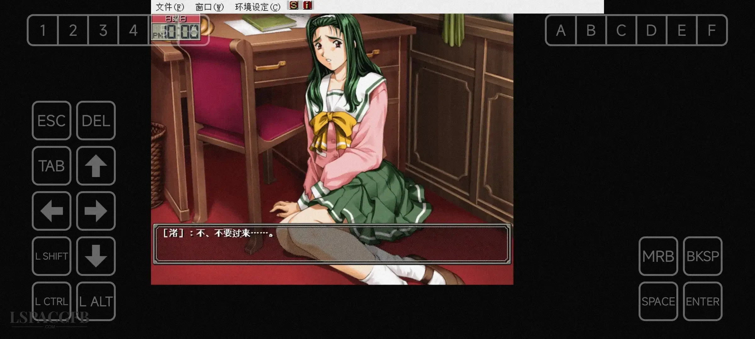 6.webp