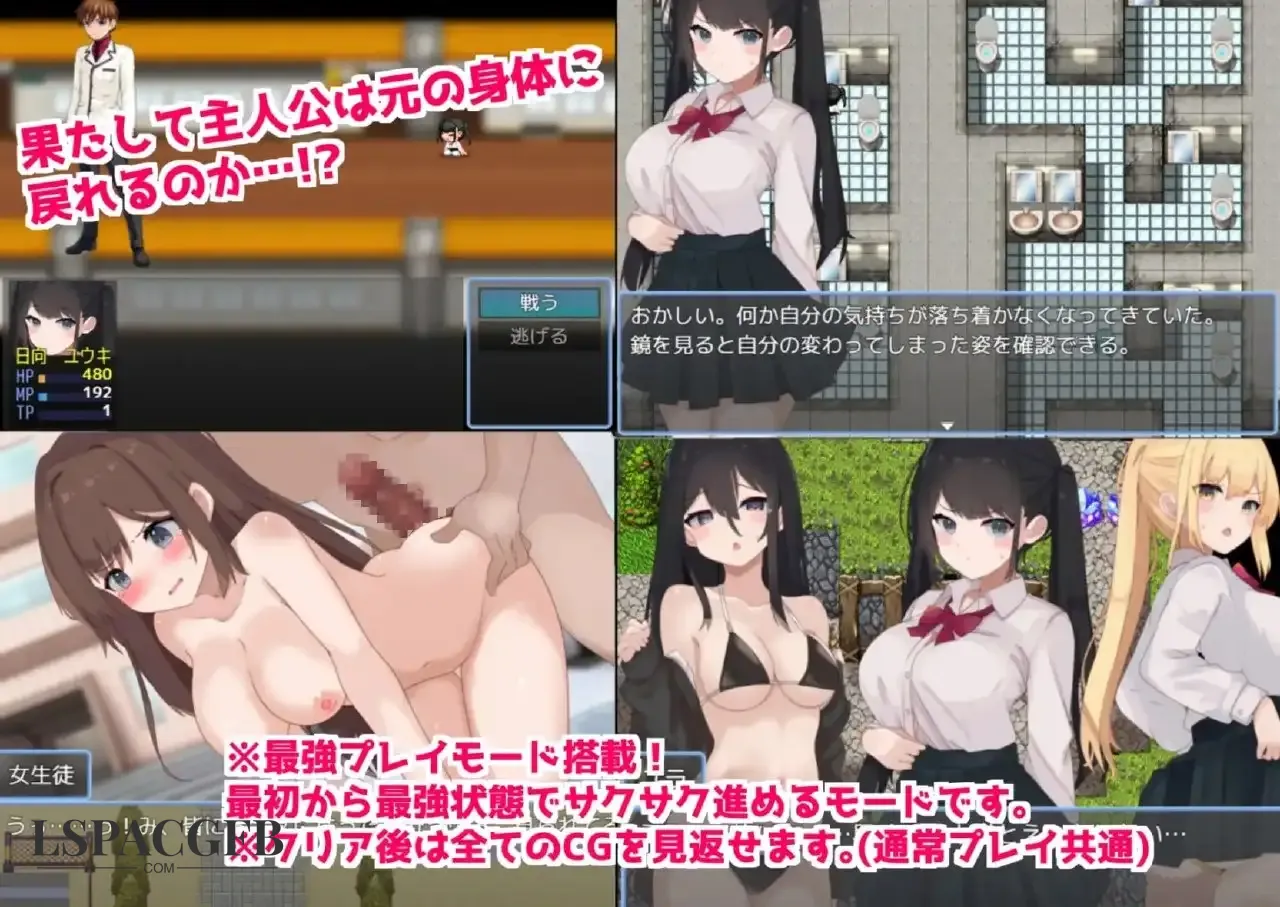 2.webp