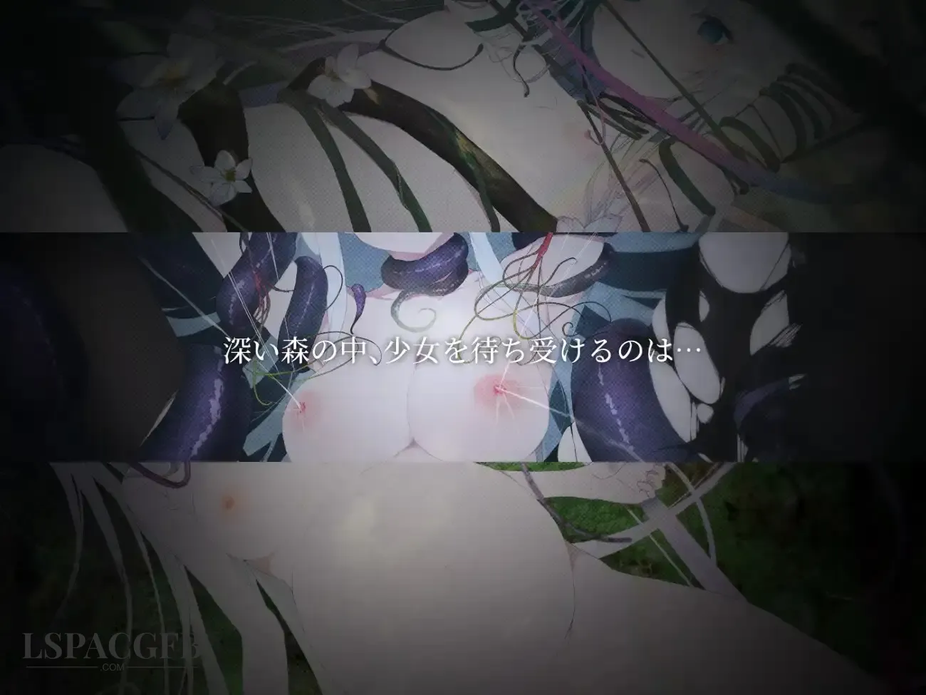 9.webp