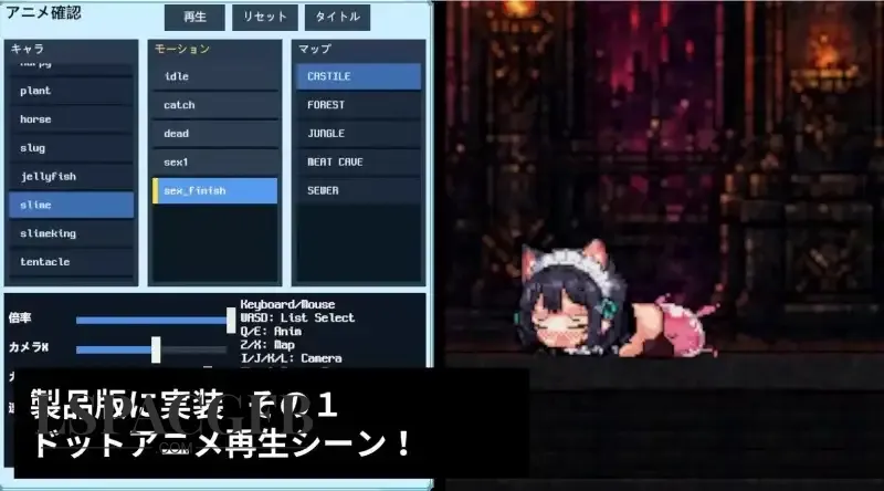 6.webp