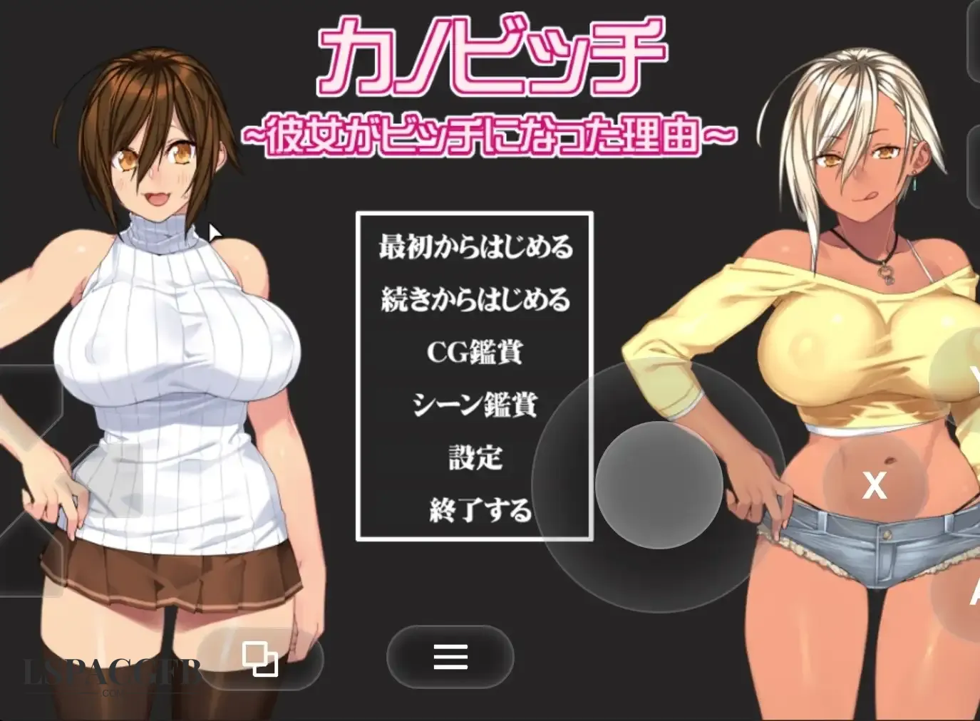4.webp