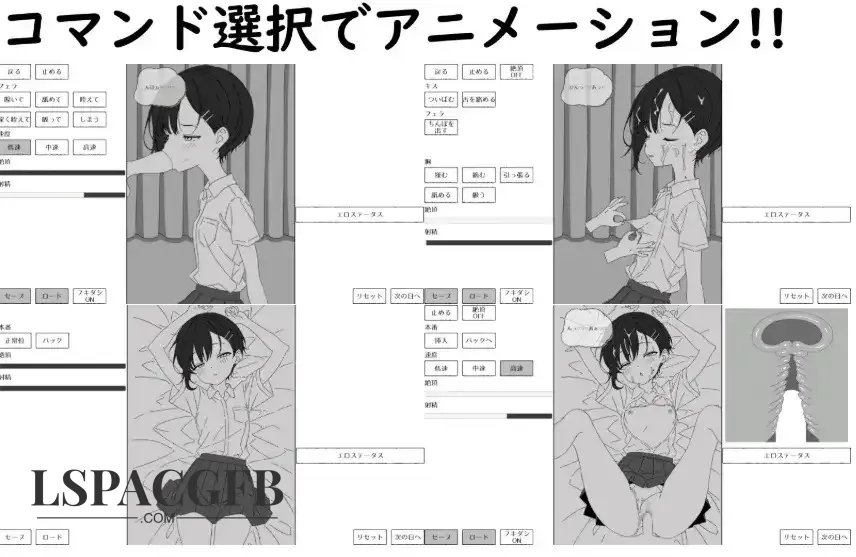 5.webp