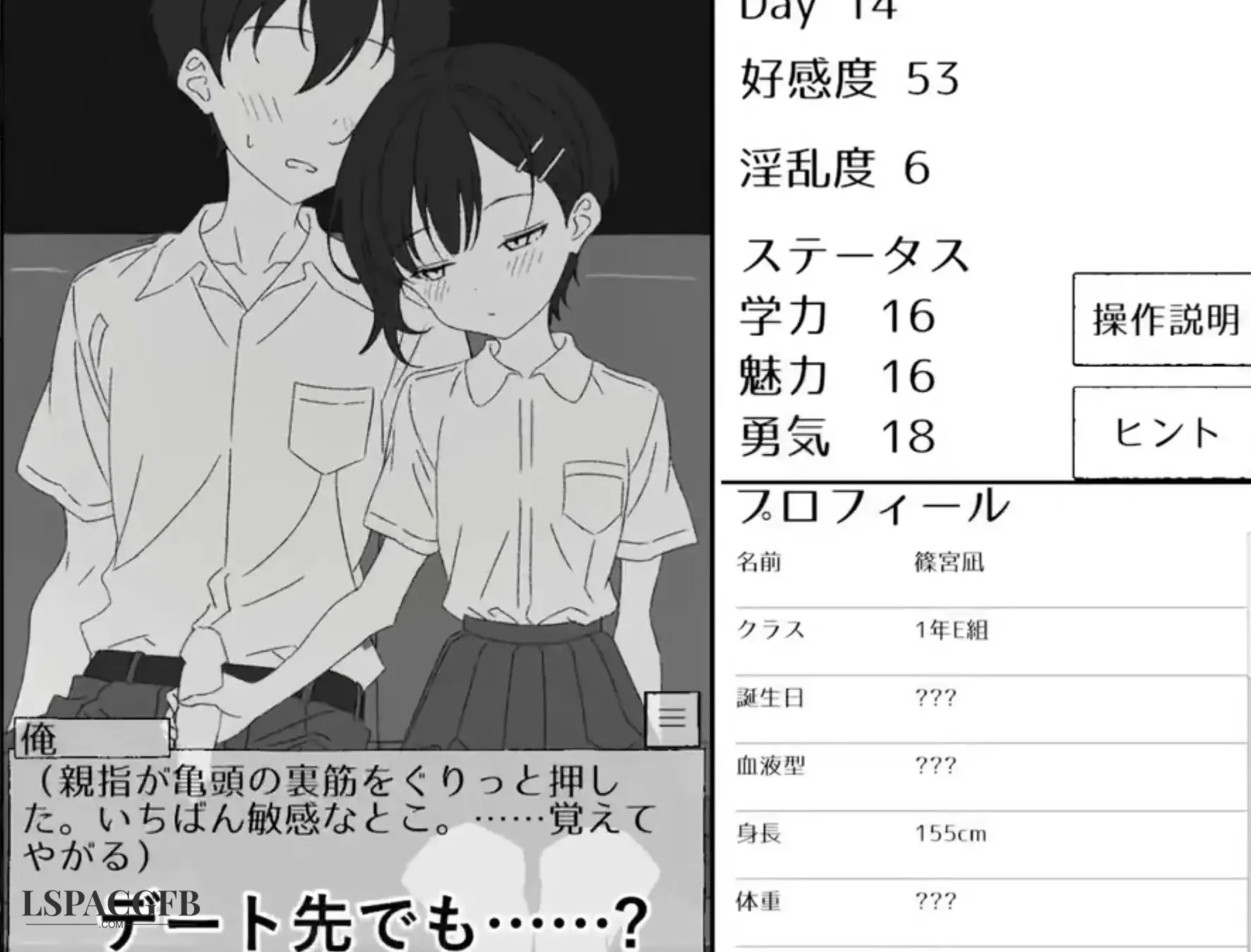 7.webp