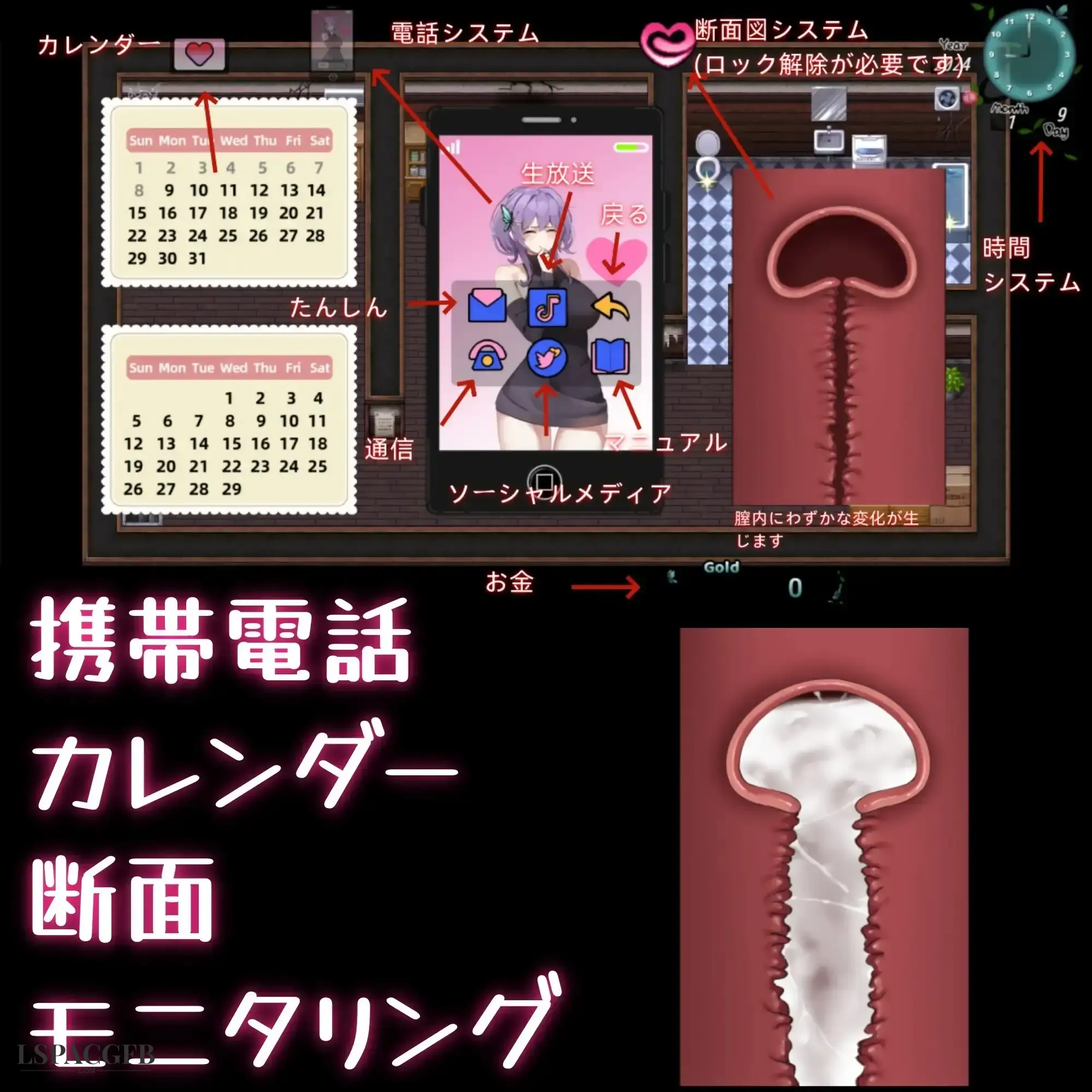 15.webp