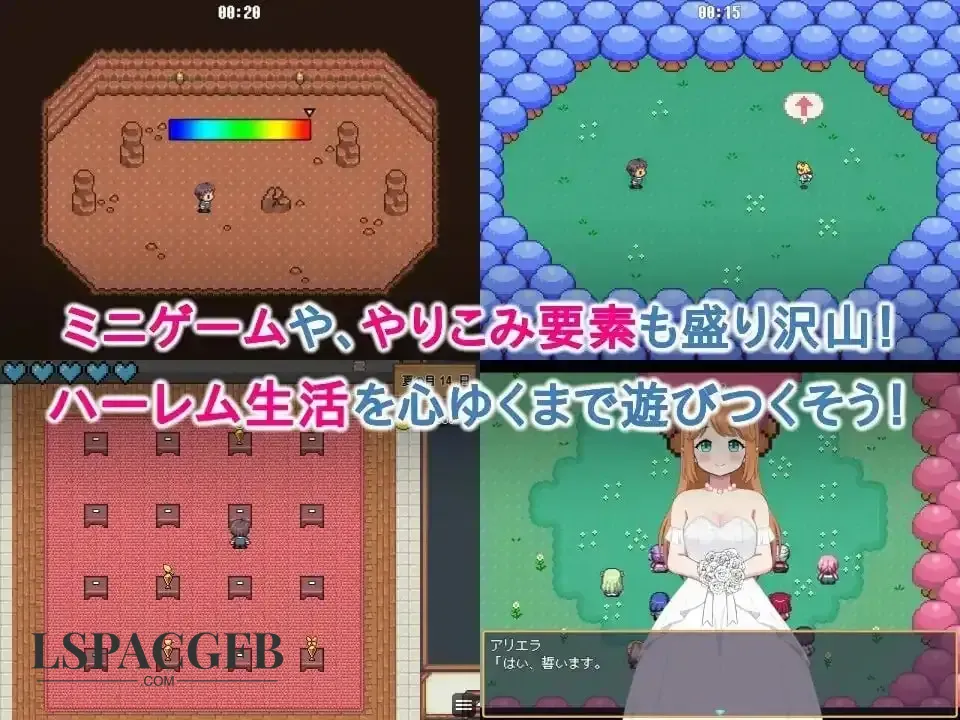 15.webp