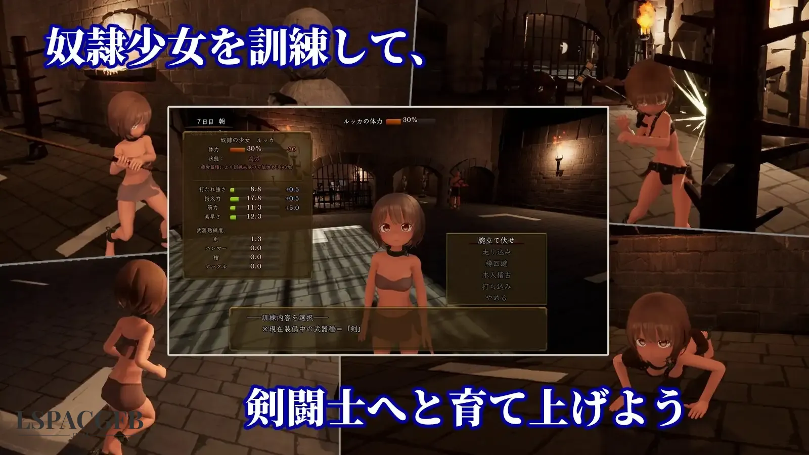 10.webp