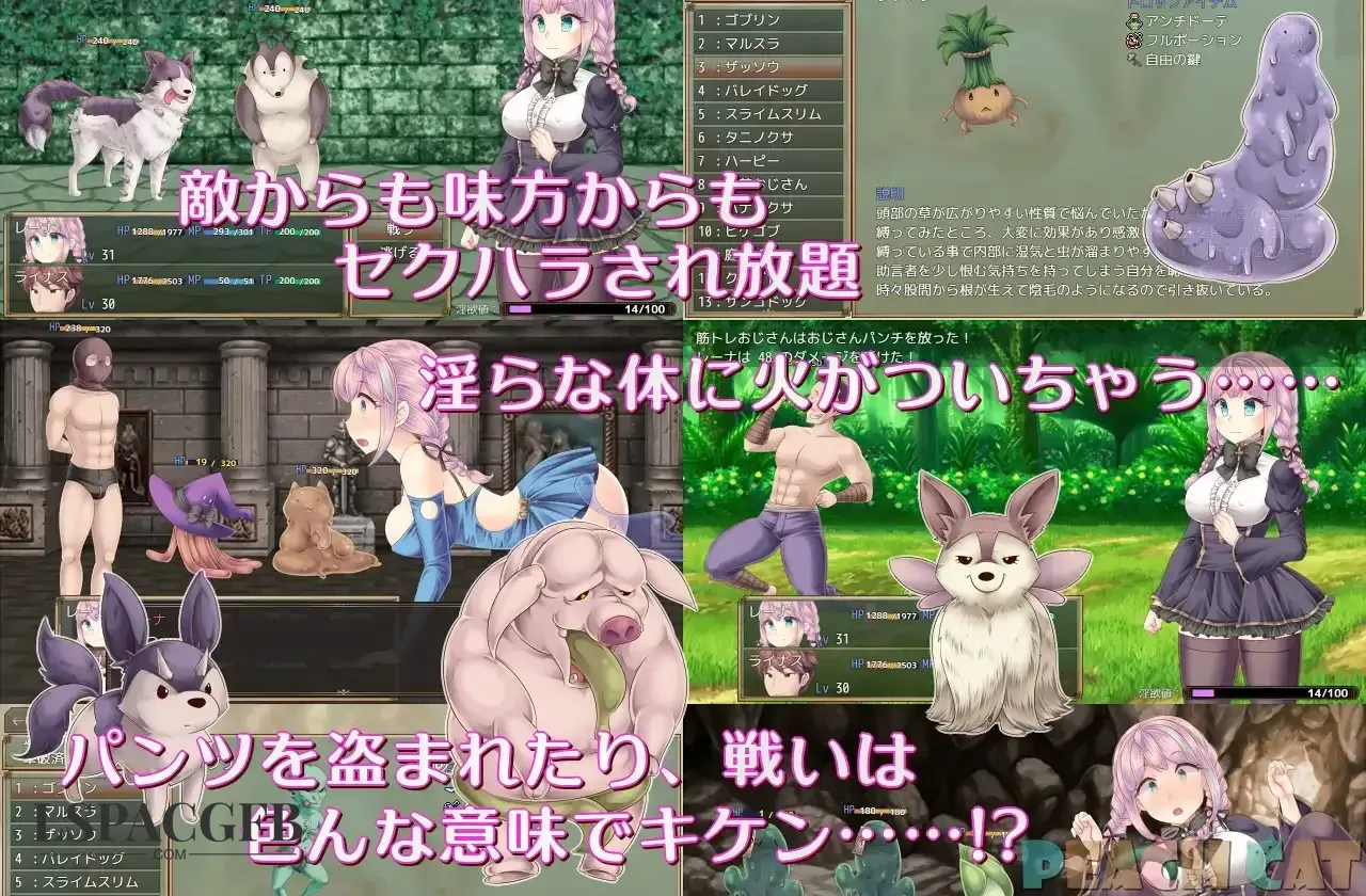 14.webp