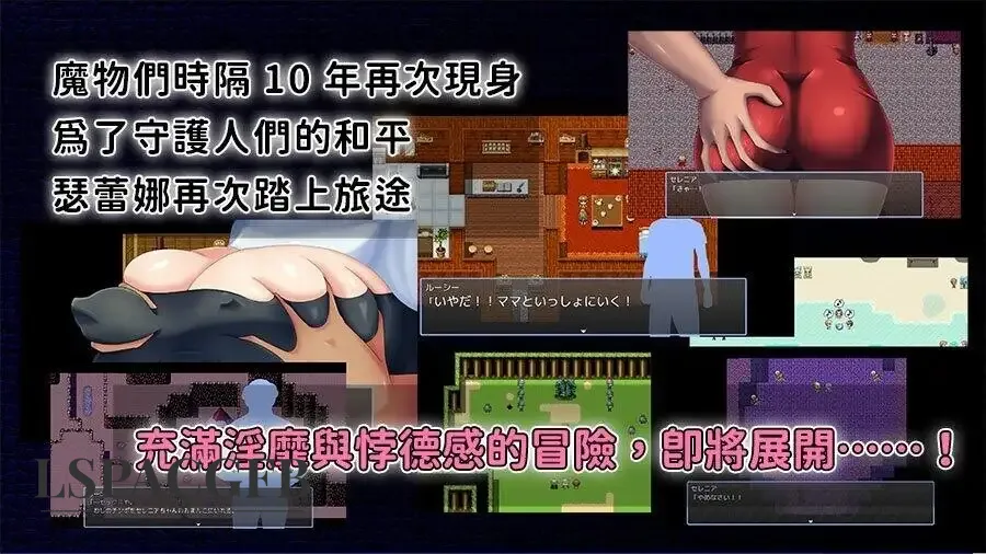 5.webp