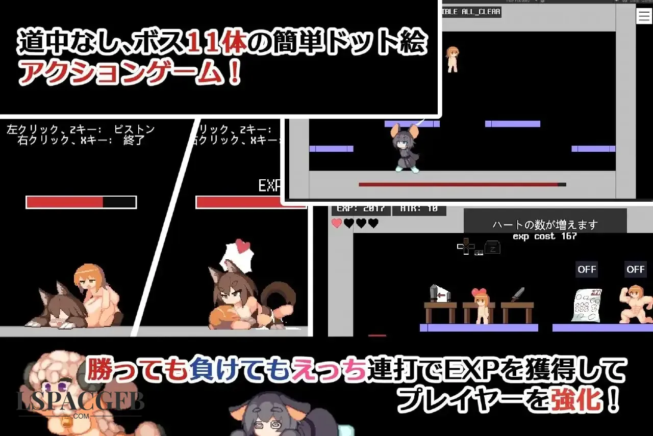 6.webp
