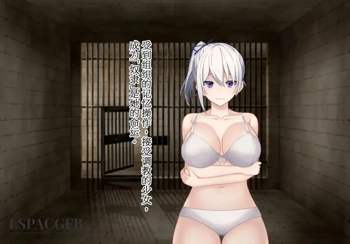 3.webp