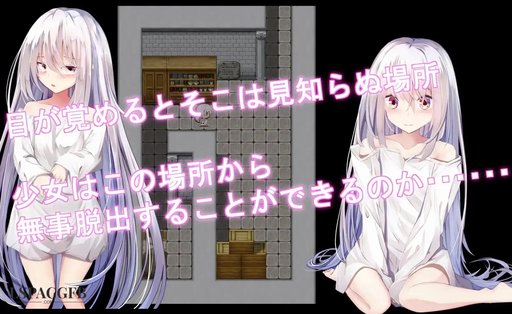 7.webp